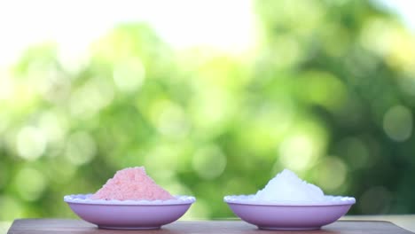 Pink-himalayan-salt-and-white-crystal-salt-on-the-white-small-bowl-in-nature-blur-background