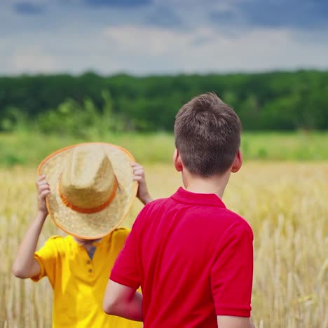 boys among nature. little brother gives straw hat to his elder brother on the field. children in the agricultural land. slow motion.