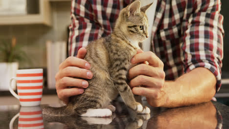 Young-man-stroking-his-pet-cat-in-the-kitchen-4K-4k