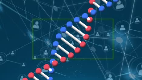 animación de la estructura de adn giratoria y la red de iconos de perfil contra un fondo azul