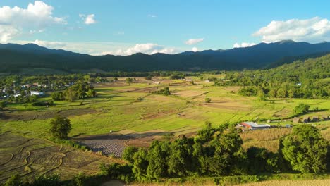 Campos-De-Arroz-En-Las-Montañas,-Exuberante-Valle-Verde-Y-Tierras-Agrícolas-Con-Arrozales-Verdes,-Tierras-Agrícolas-En-El-Campo-Del-Valle-De-Montaña,-Mueang-Khong-Chiang-Dao