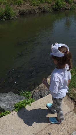a cute 5-year-old little girl stands on the bank of yangjaecheon stream and throws snacks to a large school of hungry carp fish, a fun childhood nature activity in a city park in seoul, south korea