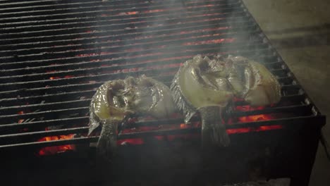 Fisch-Grillt-Auf-Einem-Glühenden-Holzkohlegrill