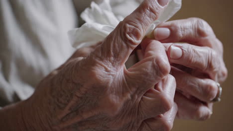 close-up of elderly wrinkled hands gently holding an object