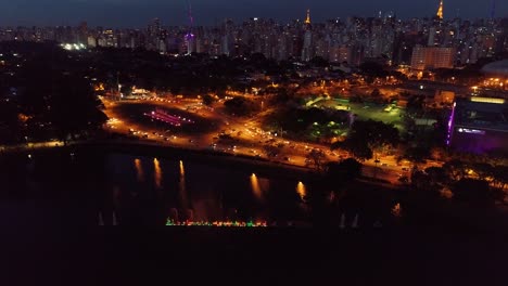 aerial view of ibirapuera's park at night, sao paulo brazil. great landscape.