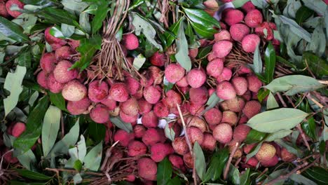 fresh lychee fruits with leaves