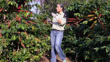 los eruditos en el gobierno y la política agrícola trabajan para determinar el patrón óptimo de cultivo de los cultivos agrícolas. comprobando la calidad de los productos de los agricultores.