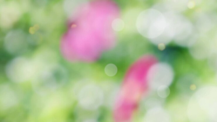 Abstract spring background with bokeh