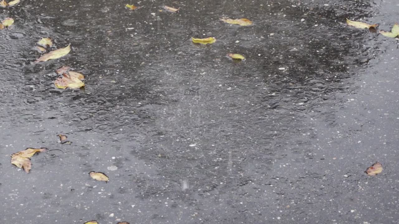 Autumn rain, water drops falling down on asphalt road forming puddle. Slow-motion video