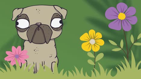 animación digital de un perro pug y un icono de flores coloridas contra un fondo verde