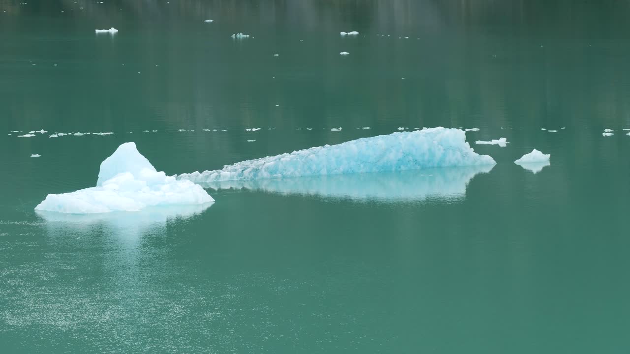 Dawes Glacier calving and ice drifting on Endicott Arm fjord. Climate change affecting the glaciers of Alaska.