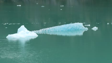 dawes glacier calving and ice drifting on endicott arm fjord. climate change affecting the glaciers of alaska.