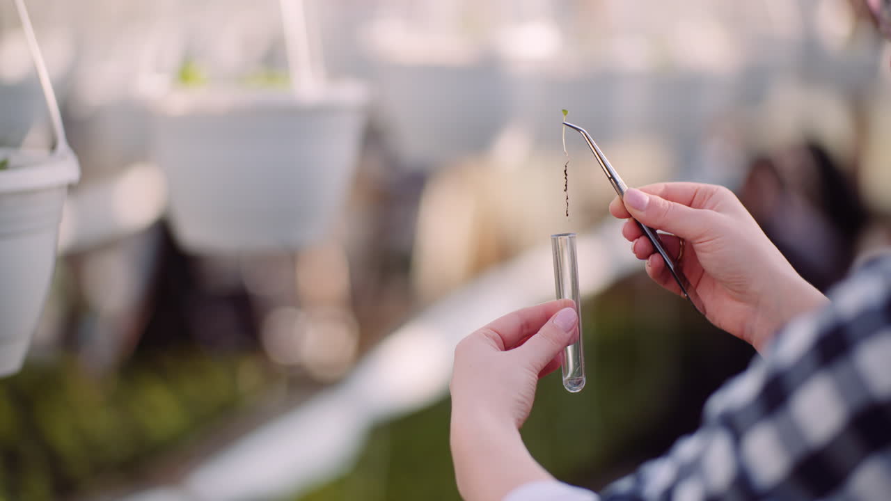botánico examinando plantas en el invernadero 16