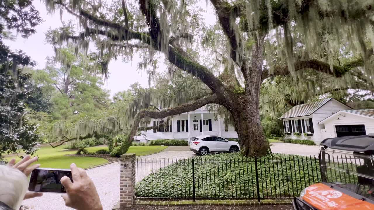 ride along on a horse drawn carriage in beaufort sc, south carolina