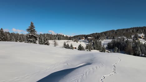 Hermosos-Alpes-Italianos-Durante-El-Invierno-Con-árboles-Llenos-De-Nieve-Y-Una-Increíble-Puesta-De-Sol