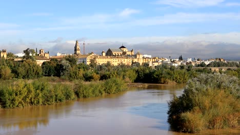 zoom in view from san rafael bridge on cordoba cathedral