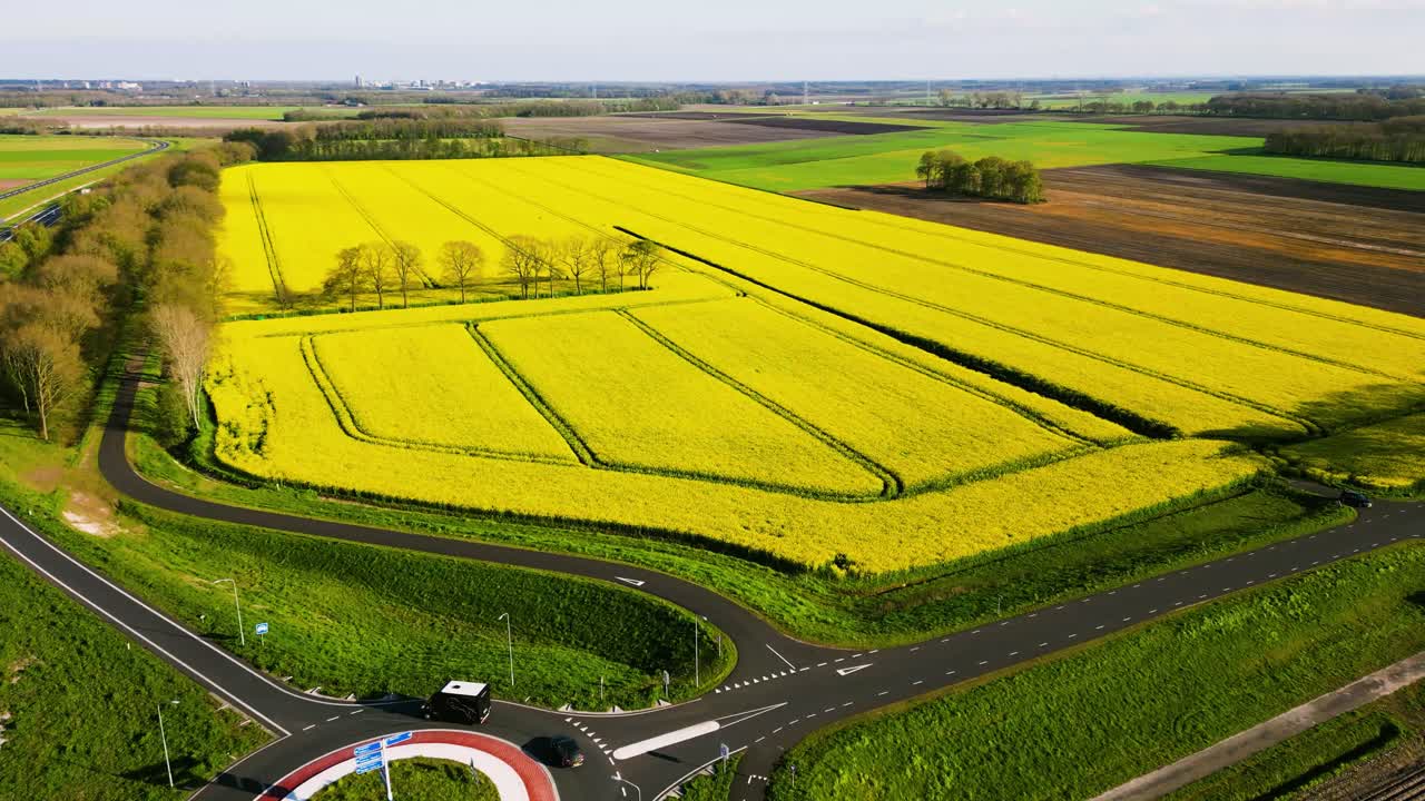 노란색 라프시드  의 공중 사진