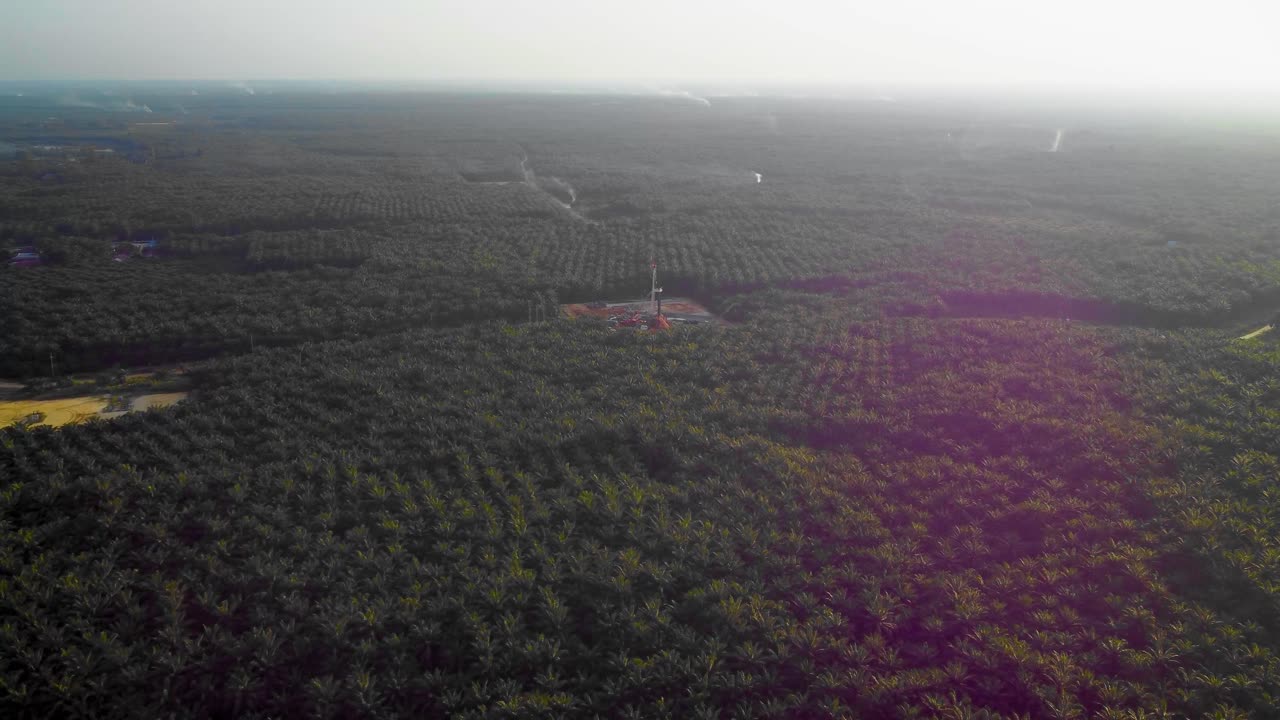 imágenes cinematográficas de drones de 4k de la estructura del equipo de la plataforma de perforación en tierra para la exploración y explotación de petróleo en medio de la jungla rodeada de palmeras durante la puesta de sol y el alto precio del petróleo