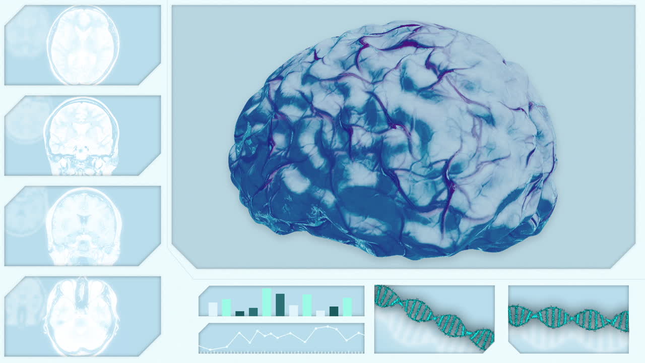 Brain Scan and DNA Visualization