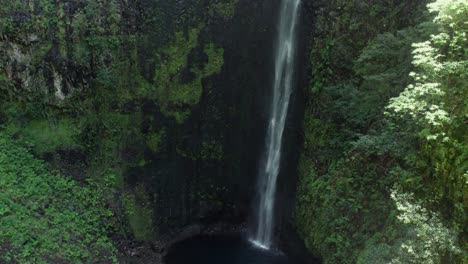 beautiful waterfall in lush rainforest