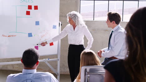 senior white female boss holds a meeting using a whiteboard