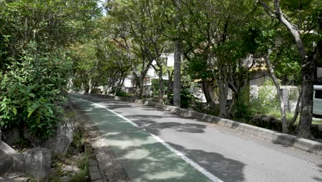 male solo traveller walking downhill along pedestrian path in mitaki, japan