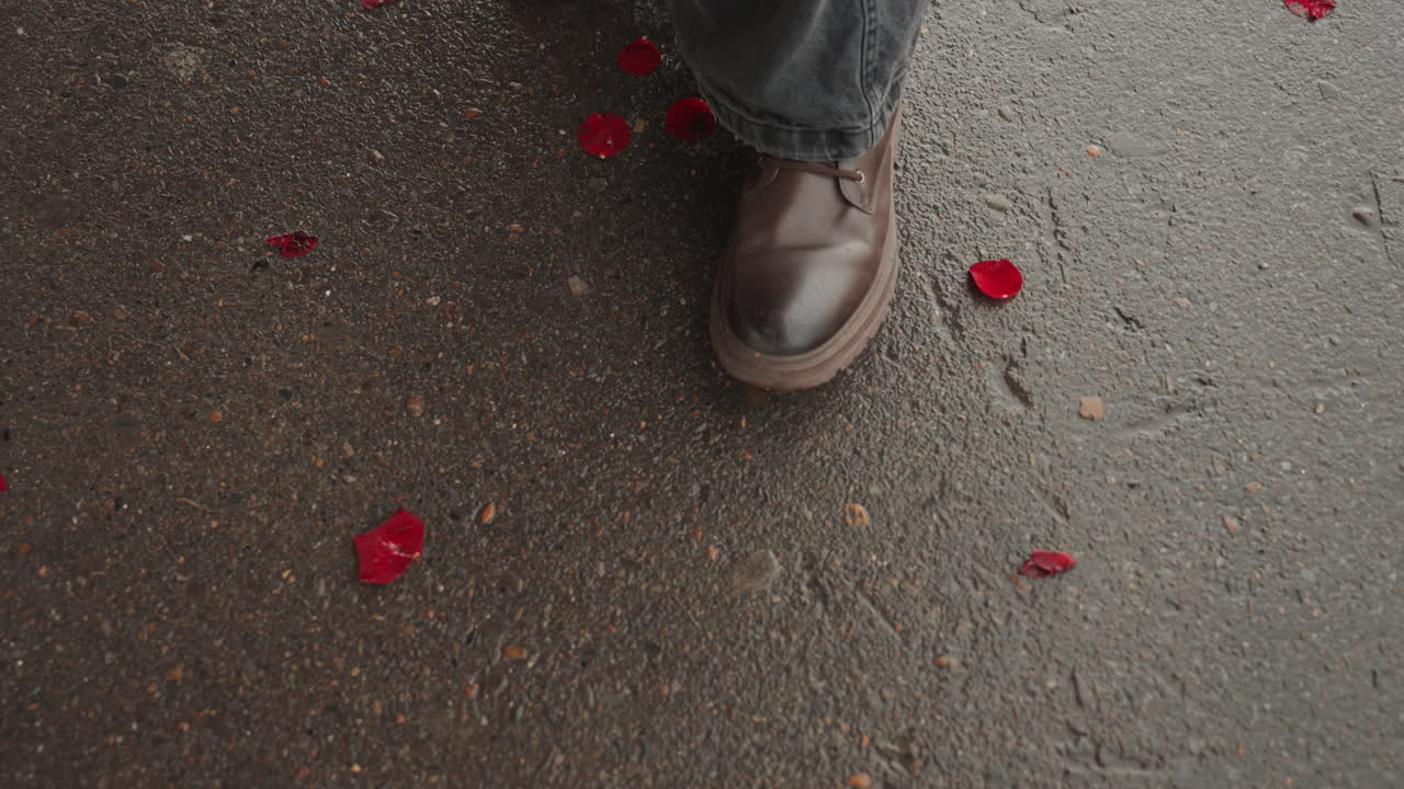 Asfalto molhado com pétalas de rosa vermelhas espalhadas, passo lento do criador em sapatos de couro, close-up aéreo de pavimento escorregadio pela chuva, clima urbano íntimo com superfície texturizada e movimento solitário
