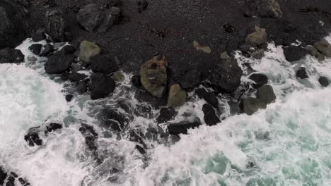 Fur-Seals-on-rock-formation-on-New-Zealand-coastal,-Cape-Palliser