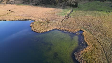 clip aéreo del lago de forma irregular con crecimiento de algas en un prado
