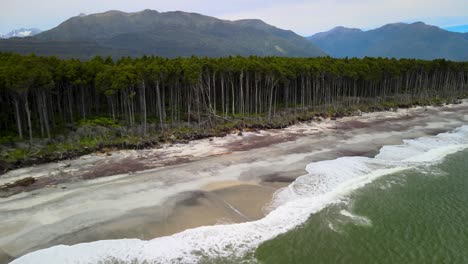 Spectacular-aerial-view-of-native-rainforest-meets-the-sea