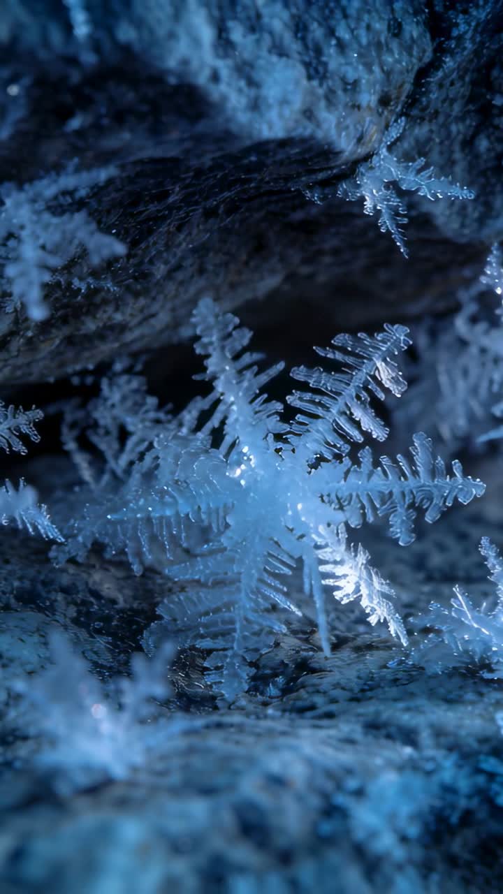 Video verticale: Telecamera macro che esegue una panoramica spostando il fuoco su un cristallo di ghiaccio a sei braccia su una roccia, mostrando brina