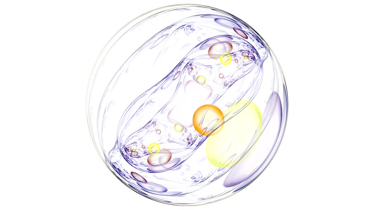 크리에이티브 디자인을 위한 추상적인 프랙탈 영상