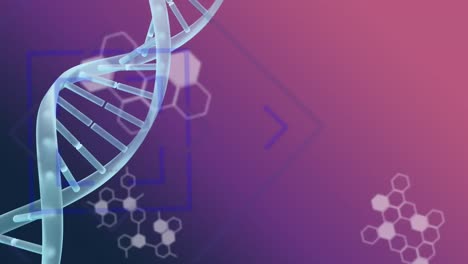 DNA-and-white-data-moving-on-a-purple-background