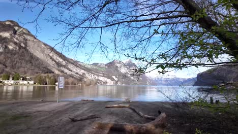 A-captivating-sight-of-the-Walensee-in-the-Swiss-Alps,-with-the-shoreline-bordering-the-tranquil-lake-waters-and-a-playful-white-dog