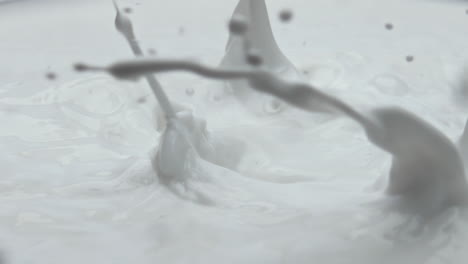 tasty blueberry falling milk in super slow motion close up. dairy dessert.