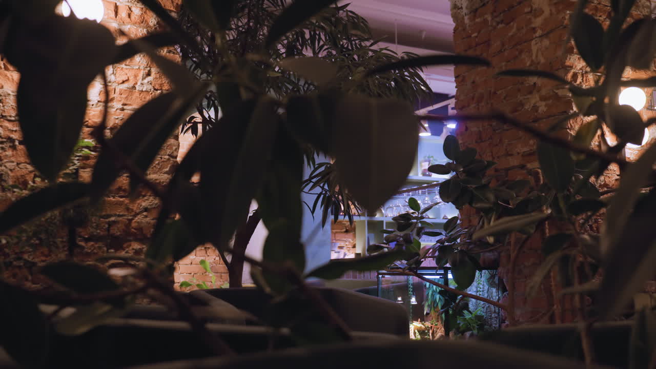 Indoor plant in foreground partially conceals warm scene of illuminated shelf and exposed brick wall. Soft ambient lighting creates cozy, modern atmosphere with natural elements