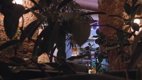 indoor plant in foreground partially conceals warm scene of illuminated shelf and exposed brick wall. soft ambient lighting creates cozy, modern atmosphere with natural elements