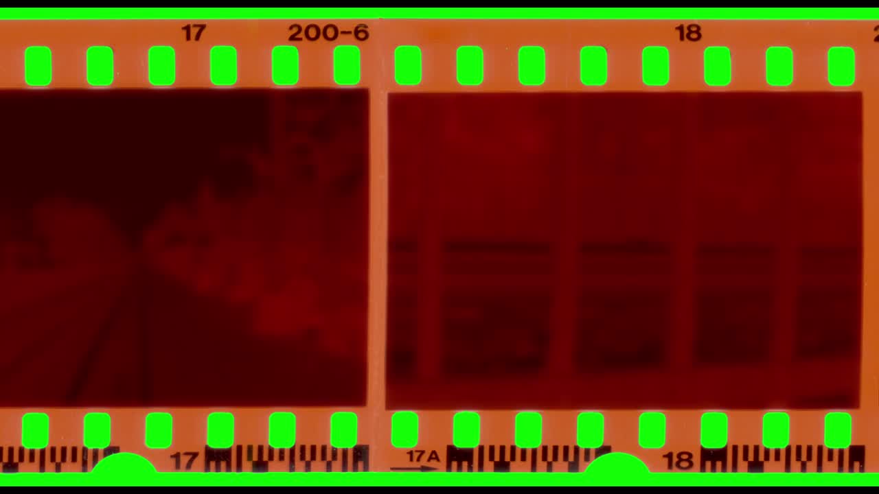 tira de película negativa en movimiento sobre fondo verde