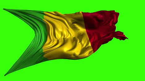 mali flag