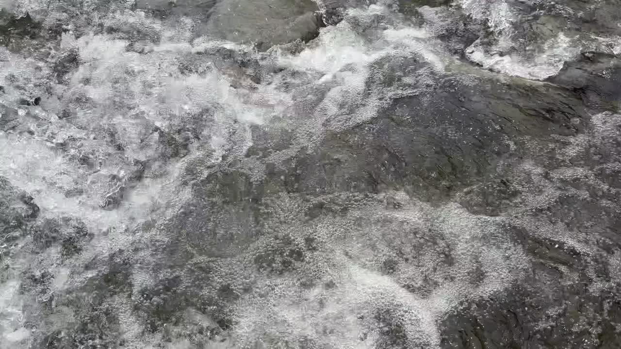 Fresh Waters of River Sindh, Boating Bliss, Forest Trails, Lush Meadows and Scenic Himalayan Landscapes