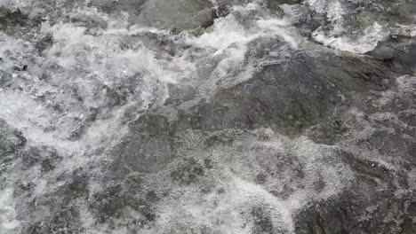 fresh waters of river sindh, boating bliss, forest trails, lush meadows and scenic himalayan landscapes