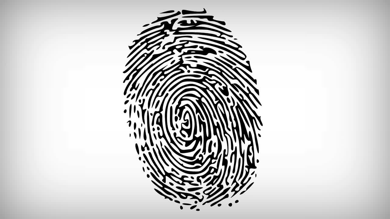 Various Fingerprints Running on White Background