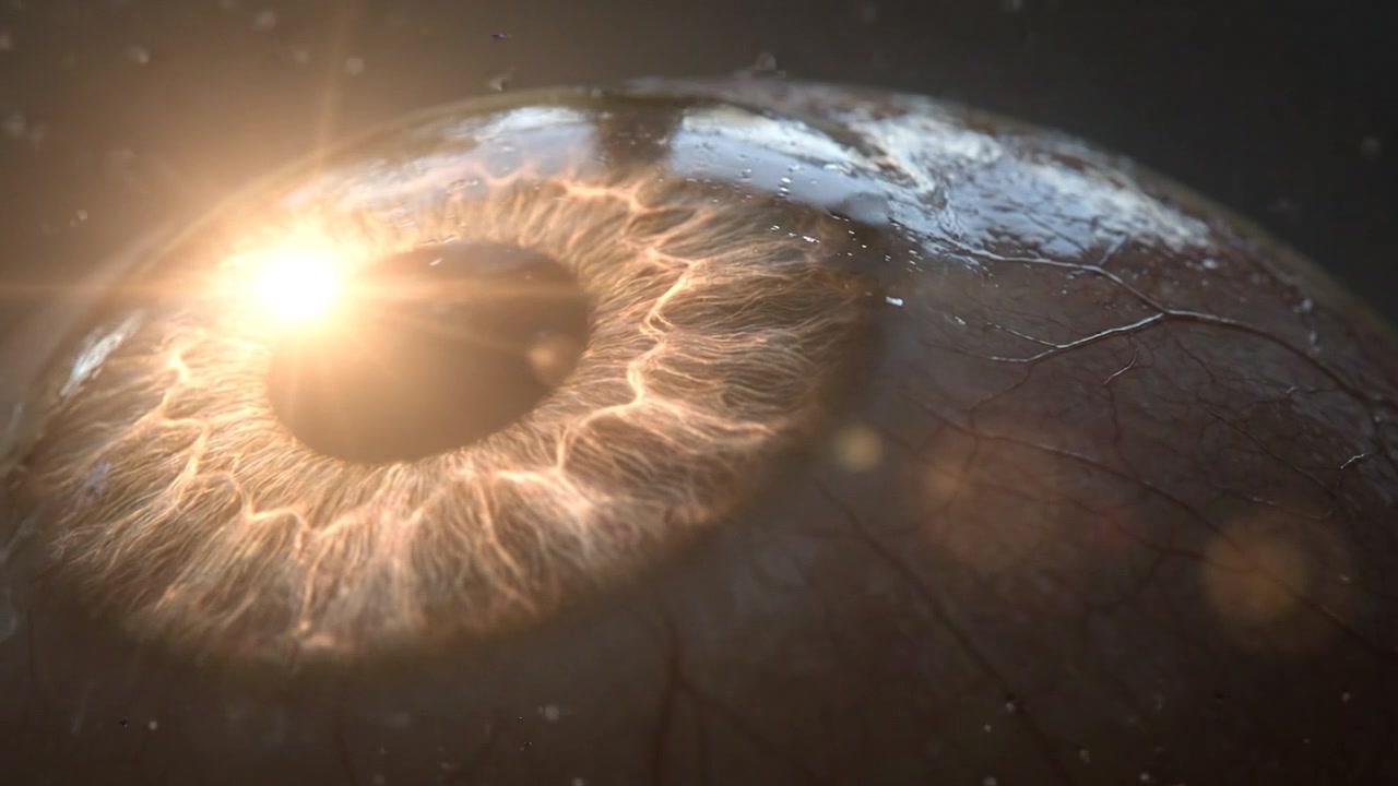 Pianeta Terra visto dallo spazio con orizzonte luminoso.