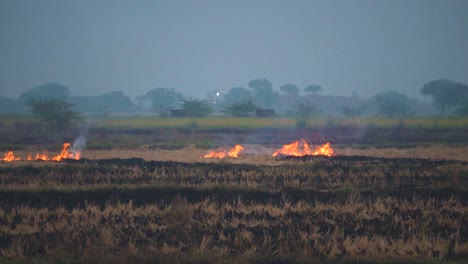 Quema-De-Rastrojos-De-Restos-De-La-Cosecha-De-Arrozales-O-Arrozales,-Lo-Que-Provoca-Smog-Y-Una-Fuerte-Contaminación-Del-Aire-En-Delhi,-Punjab,-Haryana,-India