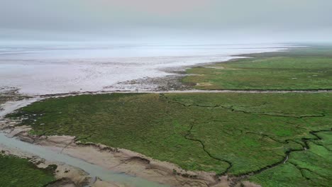 Gibraltar-Point-National-Nature-Reserve-Gibraltar-Point-is-a-dynamic-stretch-of-unspoilt-coastline-running-southwards-from-the-edge-of-Skegness-to-the-mouth-of-the-Wash