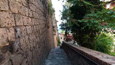 narrow stone stairway with lush greenery