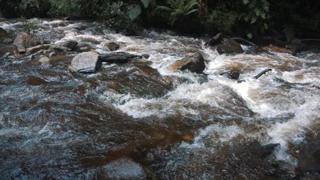 primer plano de agua que fluye a través de un río con rocas en cámara lenta en el valle de cocora, colombia