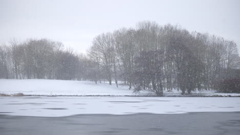 frozen lake with snow falling