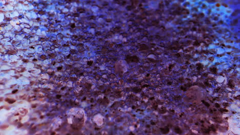 abstract macro photography of a bubble-like surface