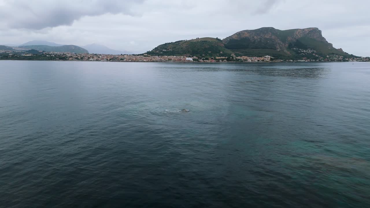 Ripresa aerea con drone mostra un nuotatore che fa cerchi attorno a una barriera corallina poco profonda al largo della costa di Porticello, Sicilia. Montagne, costa e acque calme completano lo scenario cinematografico